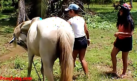 Real clumsy teens heather deep and girlfriend love horse cock