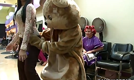 Party in the salon with the four and unparalleled winking bear db8979