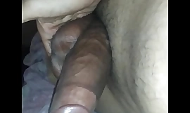 egiptean arab cocos mare penis