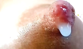 closeup milking nipple