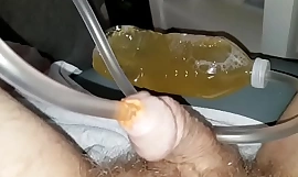 Orange Suds Hermetic Meerschaum Up Pisshole Inject Bottled Piss Squeeze Podestal Bubbles