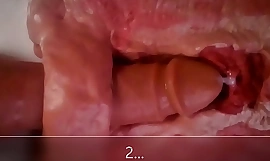 Close up increased by internal view of anal dildo fucking