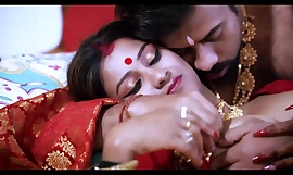 Erotische seksuele connectie met betrekking tot de prachtige, hete Indiase vrouw Sudipa Nigh Saree